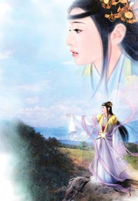 暴雪之下